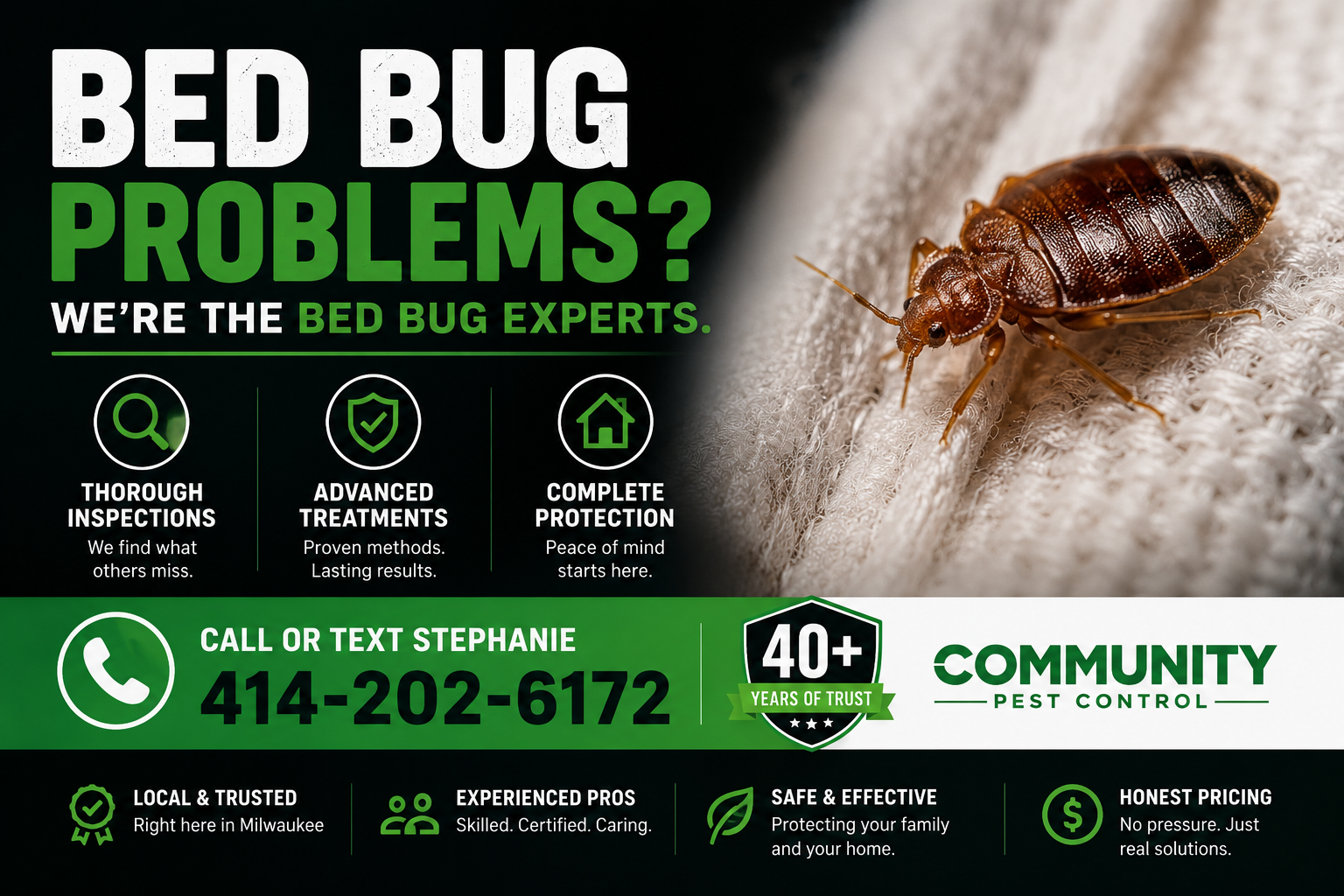 Bed bugs